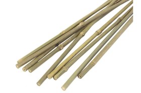 (image for) JVL BAMBOO CANES 8' 10S - 244CM