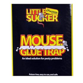 (image for) K/FISHER GLUE MOUSE TRAP 2S - STD