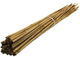 (image for) K/FISHER BAMBOO CANES 10S - 180CM