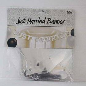 (image for) JUST MARRIED BANNER - 1.6M