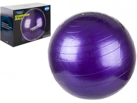 (image for) SUMMIT FITNESS BALL - 55CM