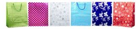 (image for) WL GIFT BAG HOLO PATTERN ASST - MEDIUM