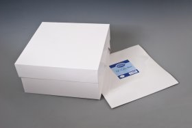 (image for) ESS CAKE BOX STAPLELESS 2S - 12"