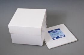 (image for) ESS CAKE BOX STAPLELESS 2S - 8"
