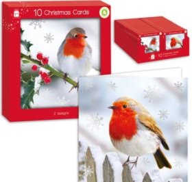 (image for) XMAS CARDS ROBIN SQAURE - 10S