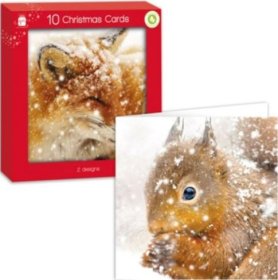 (image for) XMAS CARDS WOLF/SQUIREL SQUARE - 10S