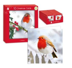 (image for) XMAS CARDS ROBIN SQUARE - 10S