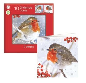 (image for) XMAS CARDS ROBIN SQUARE - 10S