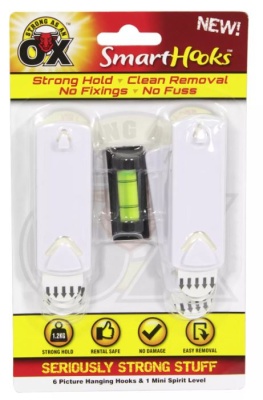 (image for) SAAO PICTURE HOOK+M/SPIRIT LEV