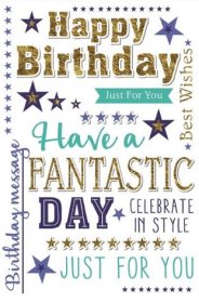 (image for) SEL B/DAY FANTASTIC DAY - MALE - STD