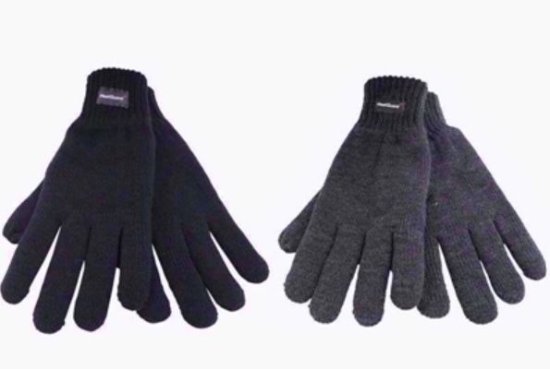 (image for) RJM MENS GLOVE THIN KNIT ASST - STD