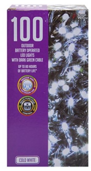 (image for) XMAS LED LIGHT OUTDOORB/OP C/W - 100S