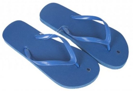 (image for) PMS SLIPPER FLIP FLOP ROY/BLUE - 4-7