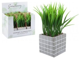 (image for) PMS CEMENT SQUARE POT + GRASS - STD
