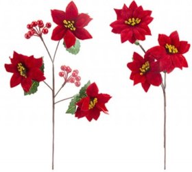 (image for) PMS POINSETTIA +LEAVES ASSORT - STD