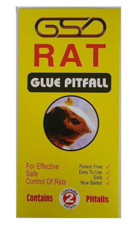 (image for) GSD RAT GLUE TRAP - TWIN