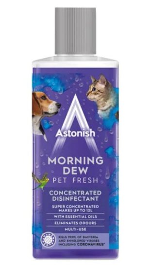 (image for) ASTONISH CONCE DISIN MORNI PET - 300ML