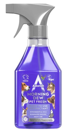 (image for) ASTONISH DISIN MORNING DEW PET - 550ML