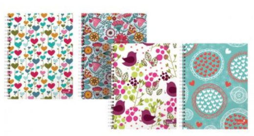 (image for) SILVINE TWIN WIRE NOTEBOOK 160PAGES - A5