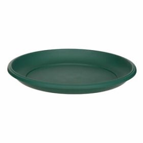 (image for) MILANO SAUCER GREEN - 29CM