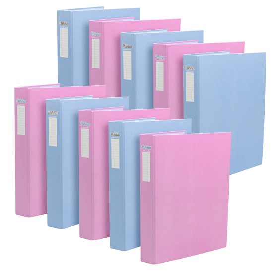 (image for) PUK RINGBINDER A4 FILE ASSORT - A4