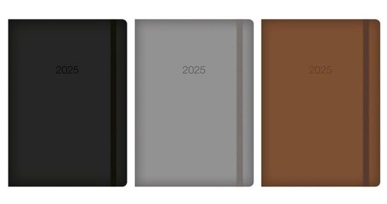 (image for) DIARY 2025 WTV EMBOSSED ASST - A4