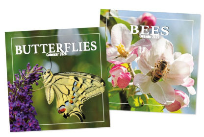 (image for) CALENDAR 2026 1MTV BUTTERFLIES