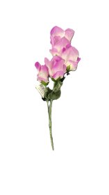 (image for) JL ART FLOWER ROSE PURPLE - STD