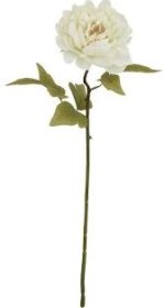 (image for) JL ART FLOWER PEONY OFFWHT 5H - STD