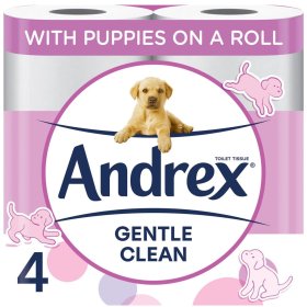 (image for) ANDREX T/ROLL GENTLE CLEAN WHT - 4S