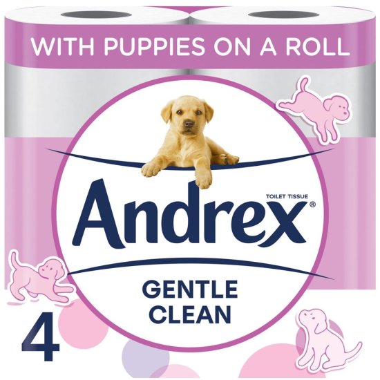 (image for) ANDREX T/ROLL GENTLE CLEAN WHT - 4S