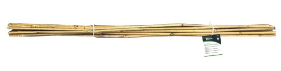 (image for) GREEN BLADE BAMBOO CANE 10S - 150CM