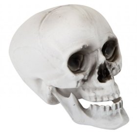 (image for) PMS HWN SKULL WITH MOVING JAW - STD