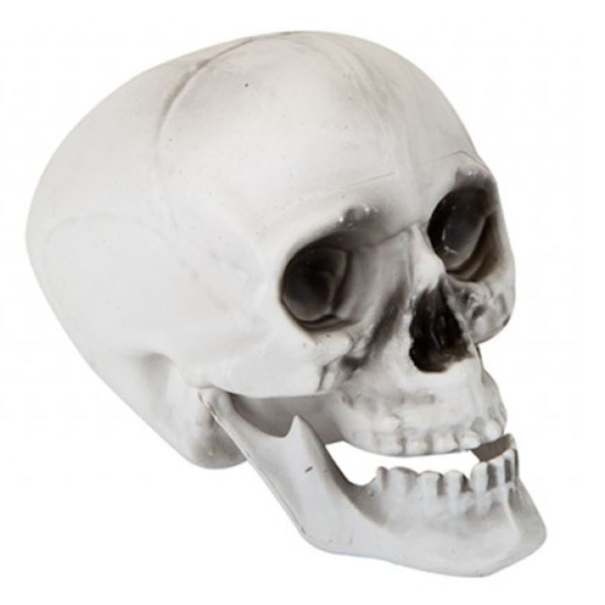 (image for) PMS HWN SKULL WITH MOVING JAW