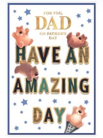 (image for) SEL FATHER'S DAY AMAZING OPEN - MEDIUM