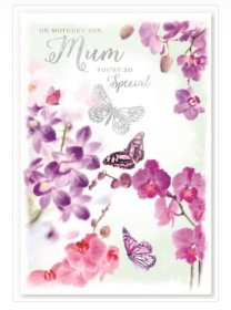 (image for) SEL CARD-MUM YOU'RE SPECIAL - STD