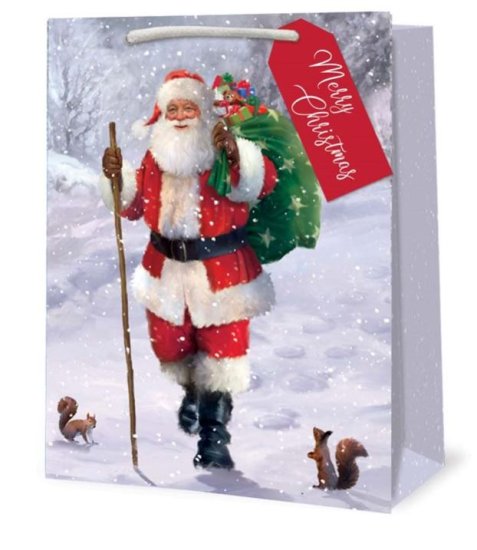 (image for) XMAS GIFT BAG TRAD SANTA - MEDIUM