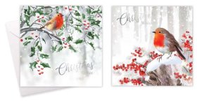 (image for) XMAS CARD ROBIN SQUARE - 10S