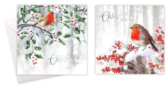 (image for) XMAS CARD ROBIN SQUARE - 10S