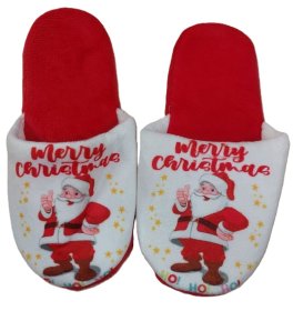 (image for) JL XMAS SANTA SLIPPERS KIDS - STD