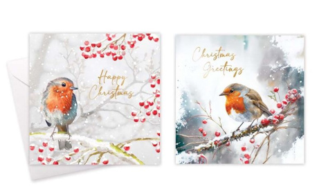 (image for) XMAS CARD SQ ROBIN - 10S 