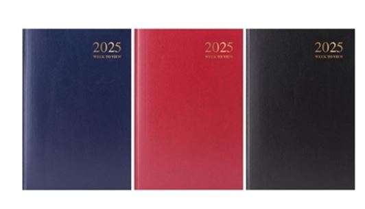 (image for) DIARY 2025 WTV CLASSIC ASST - A6