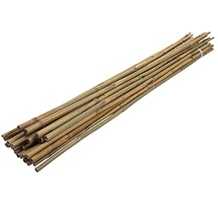 (image for) JVL BAMBOO CANES 61CM - 61CM