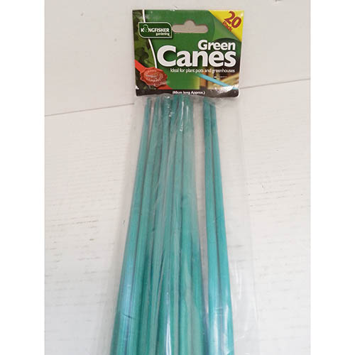 (image for) K/FISHER GARDEN CANE GREEN 20S - 60CM