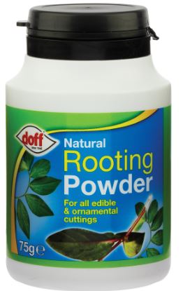 (image for) DOFF ROOTING POWDER - 75G