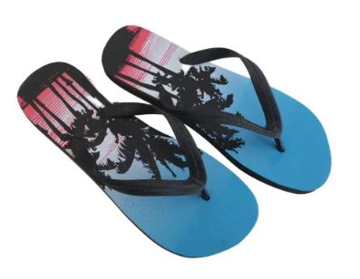 (image for) GENTS SLIPPER FLIP FLOP ASST - 41/44