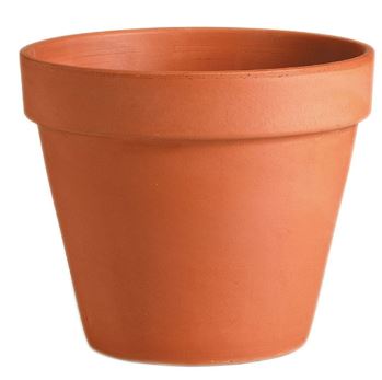 (image for) PLANT POT TERRACOTTA 15\" - 15\"