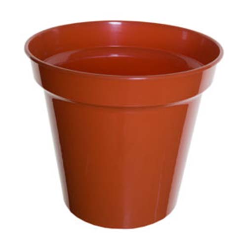(image for) PLANT POT TERRACOTTA 12.5\" - 31CM 