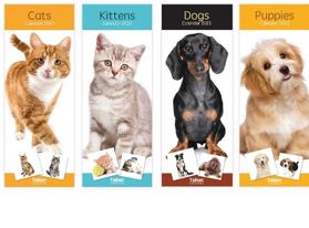 (image for) CALENDAR 2024 KITTENS & CATS - SLIM