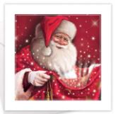 (image for) XMAS CARDS CHRISTMAS SANTA - 10S